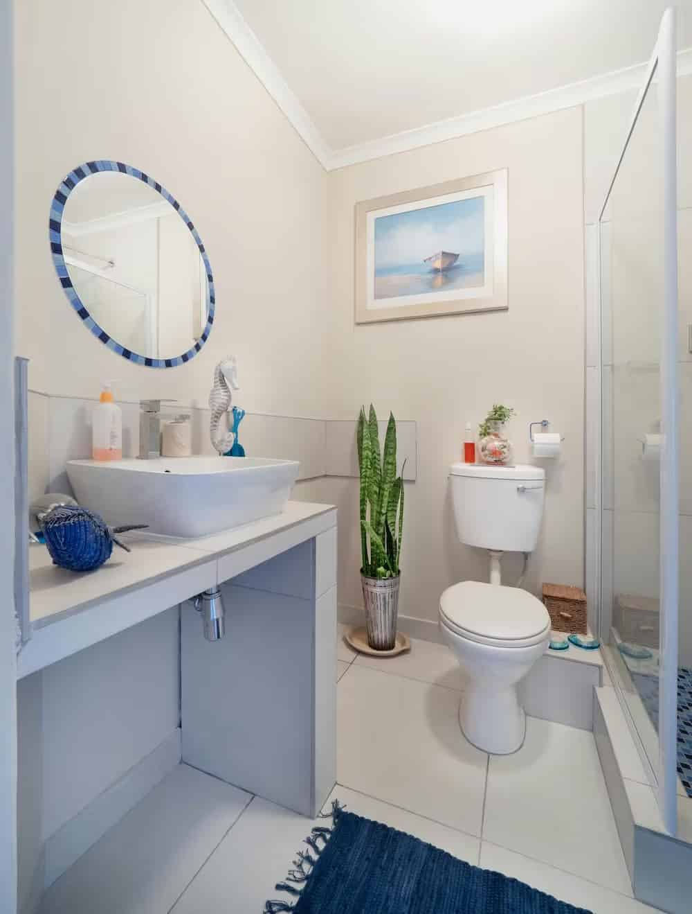 Basic House Cleaning image